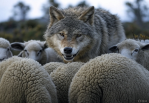 Le silence des pantoufles. La collaboration qui paralyse : pourquoi le peuple râle mais ne se révolte pas.