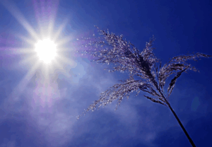 La canicule et les marchands de l’apocalypse