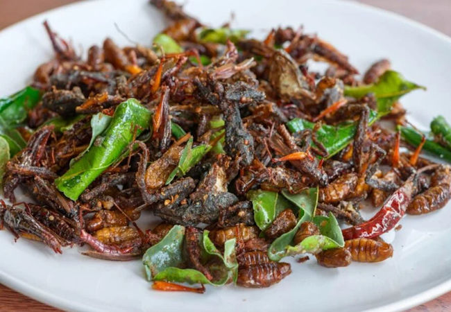 Les Français ne veulent pas manger d’insectes