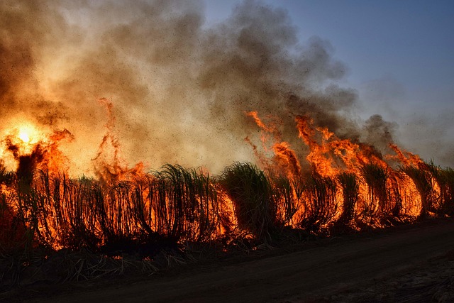 Des vagues d’incendies ravagent la France : incompétence et priorités déplacées des autorités