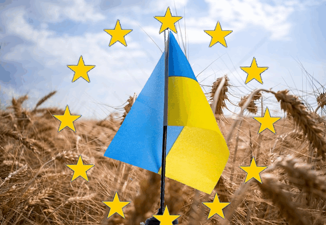 Nouveaux accords avec l’Ukraine : une menace de plus pour les agriculteurs français