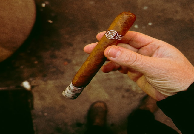 La décadence des élites au pouvoir