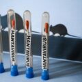 Four small glass vials with red-tipped swabs labeled HANTAVIRUS stand upright on a blue surface, with mouse silhouettes in the background (research scene).