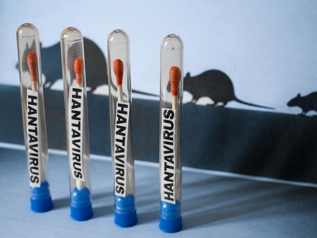 Four small glass vials with red-tipped swabs labeled HANTAVIRUS stand upright on a blue surface, with mouse silhouettes in the background (research scene).